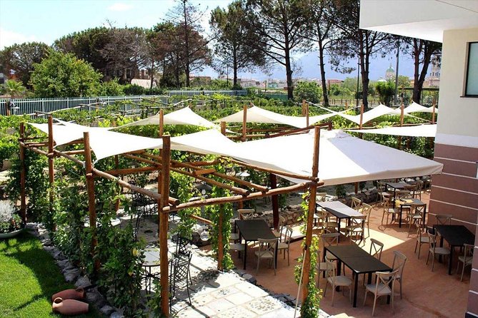 Pompeii & Vesuvius with Lunch & Wine Tasting from Amalfi Coast - Who will enjoy this day most?