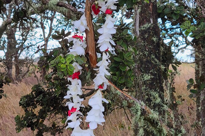 Port of Hilo to Volcano Tour - Hawaii Volcanoes National Park: The Main Event