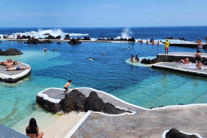 Porto Moniz Lava Pools, Fanal Forest and Skywalk 4x4 Experience - Fanal Forest and the Laurissilva trees