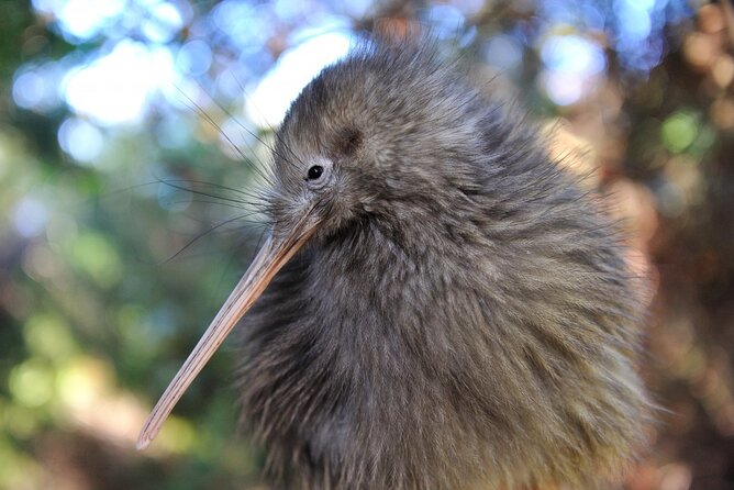 Private 2 Day Tour: Hobbiton, Waitomo, Rotorua Geothermal & Hamilton Gardens - Lake Rotorua: a calm start to Day 2