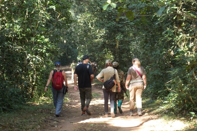Private 2 Days Volcano Golden Monkey and Bwindi Gorilla Trek - Two parks, two very different primate encounters