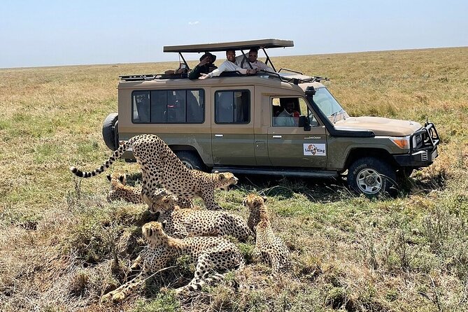 Private 6-Day Tarangire Manyara Crater and Serengeti with Mid-Range Lodges - Ngorongoro Crater is the trip’s great natural theater