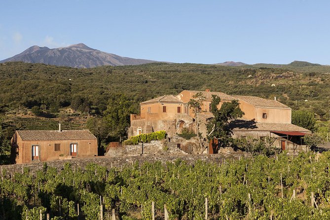 Private 6-Hour Tour of Three Etna Wineries with food&wine tasting - Second stop: the long Sicilian lunch