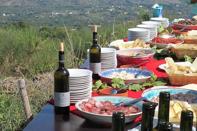 Private 6-Hour Tour of Three Etna Wineries with food&wine tasting - Third stop: small plates, red wine, and Etna scenery