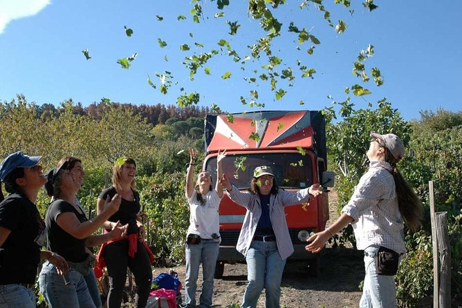 Private 6-Hour Tour of Three Etna Wineries with food&wine tasting - Is $375.05 per person a fair price?