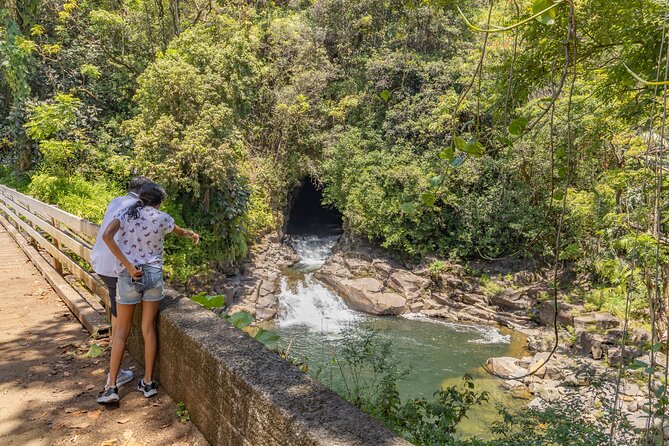 Private - All Inclusive Big Island Volcano & Waterfalls Tour - A locally sourced lunch along the Hilo coast