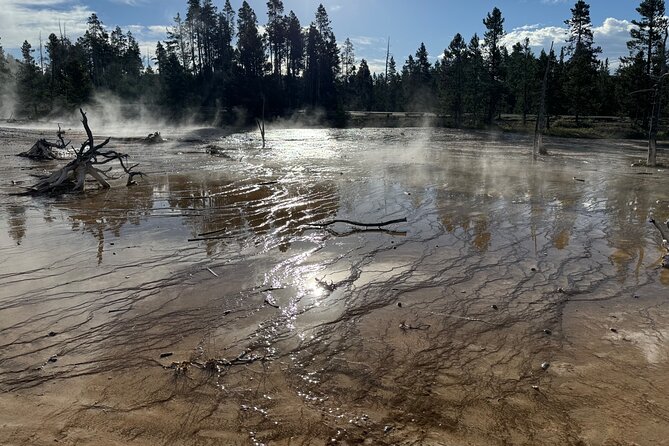 Private All-inclusive Yellowstone Lower Loop”The Volcano” Tours - Grand Prismatic Spring and the science of color