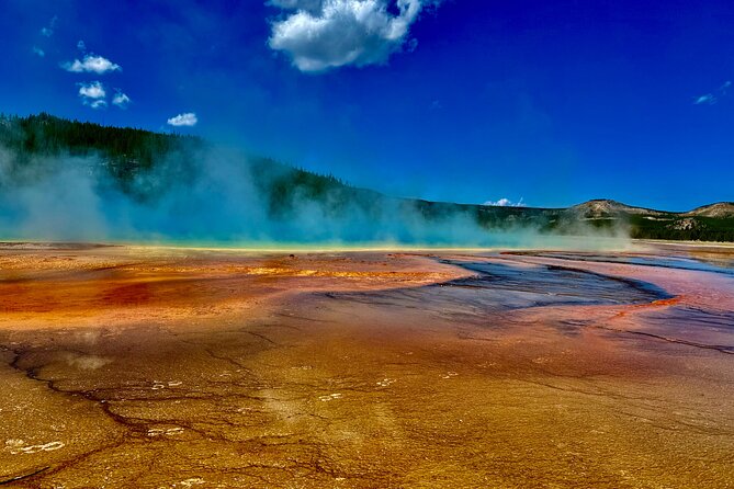Private All-inclusive Yellowstone Lower Loop”The Volcano” Tours - Hayden Valley and the search for wildlife