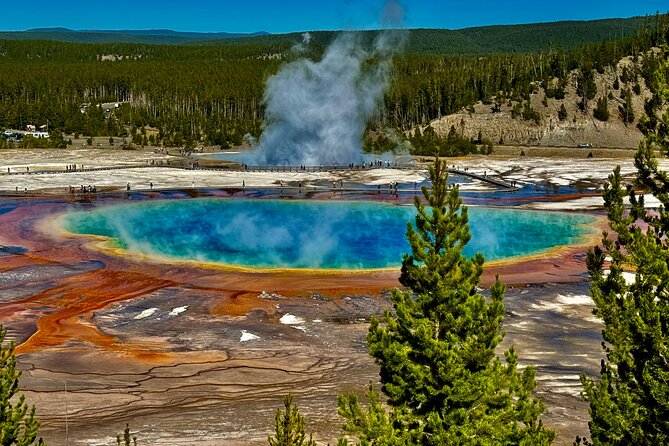 Private All-inclusive Yellowstone Lower Loop”The Volcano” Tours - Norris Geyser Basin: the tour’s most active thermal stop