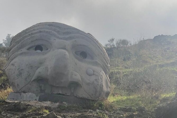 Private and Guided day in Pompeii and Vesuvius from Naples - The road to Vesuvius and the final 200 meters
