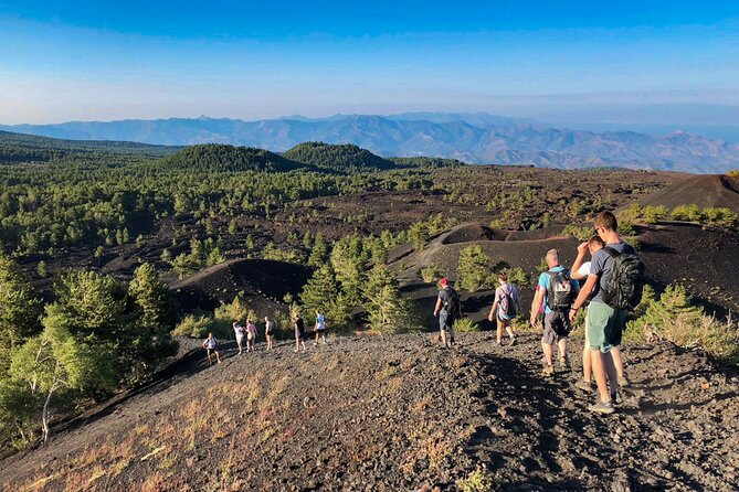 Private and Guided Tour on Etna with Wine Tasting included - The five-hour question matters more than it first appears