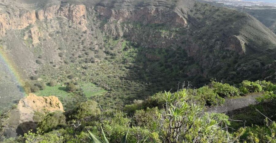 Private Bandama Caldera Volcano, Botanic Garden & Old Town - Key Points Before You Book