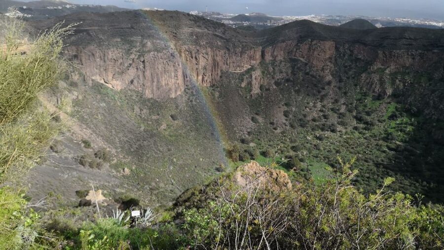 Private Bandama Caldera Volcano, Botanic Garden & Old Town - The Canary Islands Botanical Garden