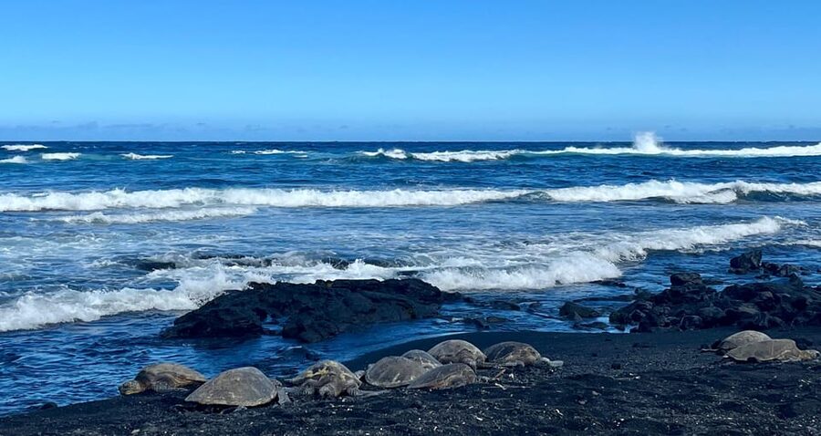 Private Big Island Tour:Coffee, Beaches,Volcanos & Waterfall - Greenwell Coffee Farm and the first taste of Kona