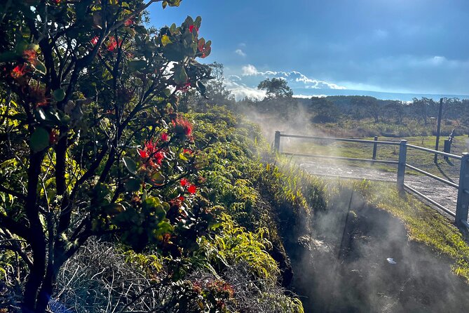 Private Big Island Tour: Coffee, Beaches, Volcanos, Waterfalls - What the guide adds to the day
