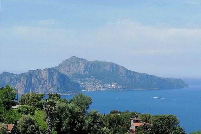Private day tour: Pompei,Vesuvius and Herculaneum. - The real value of the private vehicle
