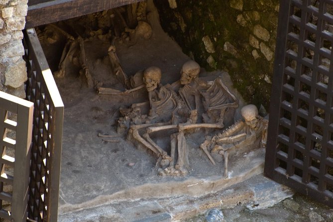 Private Day Tour to Vesuvius, Herculaneum & Pompeii with Pick Up - Why this private Pompeii tour works well