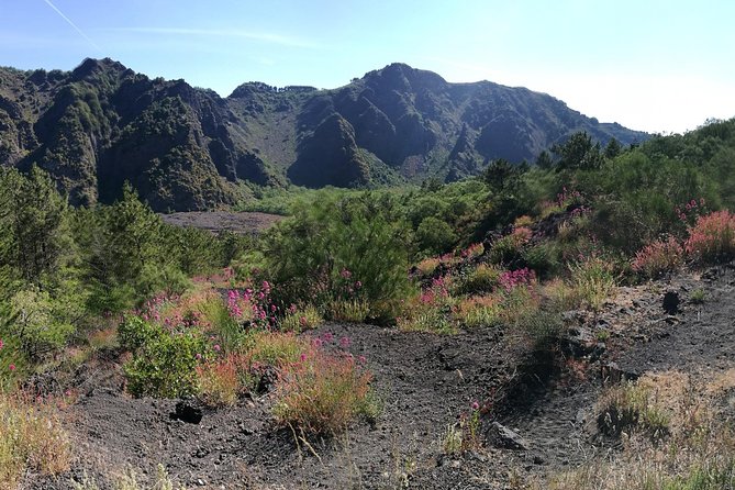 Private Day Tour to Vesuvius, Herculaneum & Pompeii with Pick Up - Guides, drivers, and the private format