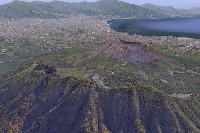 Private Day Tour to Vesuvius, Herculaneum & Pompeii with Pick Up - Who should book this day tour