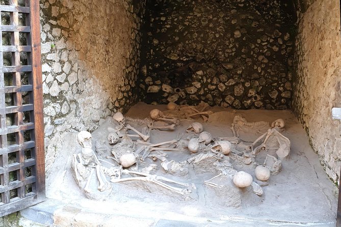 Private Day Tour to Vesuvius, Herculaneum & Pompeii with Pick Up - Should you book it?