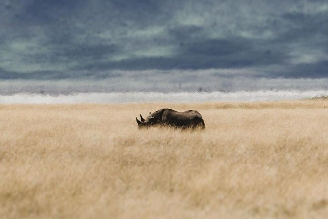 Private Day Trip to Ngorongoro Crater - The road to the Ngorongoro Conservation Area