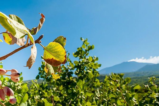 Private Etna tour and pistachio lunch in a pistachio farm - Morning on Mount Etna: Craters, Lava, and Open Ground