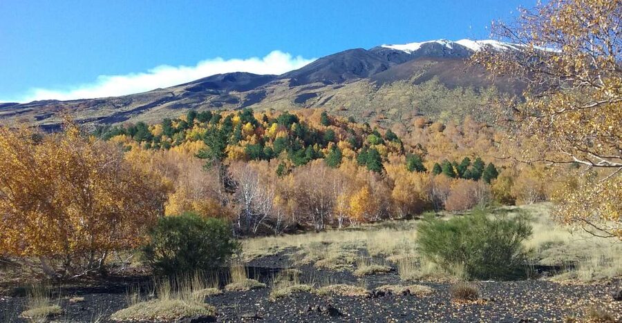 Private Etna Tour from Taormina - Why this private Etna outing works well from Taormina
