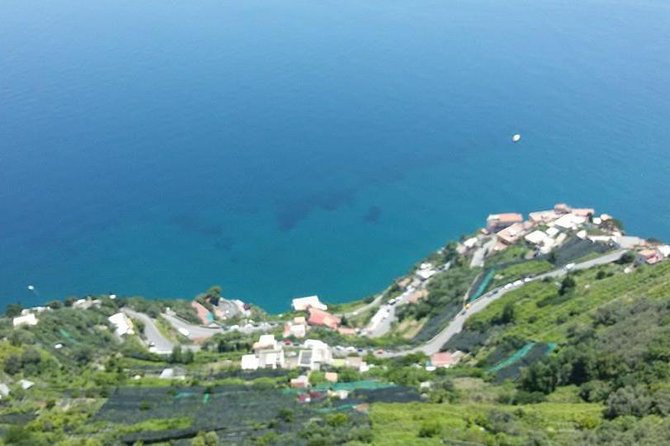 Private Exclusive VIP Tour of Positano, Pompeii & Mount Vesuvius - Positano in one hour: beautiful, but very short