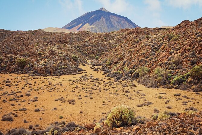 Private excursion to Teide National Park - Who should book this private Teide outing?