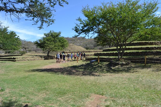 PRIVATE Fire TOUR: Pyramids, Volcanoes, Agaves & Tequila - Destileria La Alborada: from cooked agave to tequila