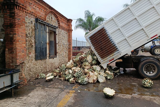 PRIVATE Fire TOUR: Pyramids, Volcanoes, Agaves & Tequila - Alejandro’s personal approach
