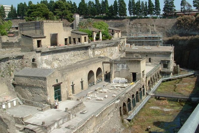 Private Full-Day Tour to Pompeii and Mt. Vesuvius with Winery Visit - Who should book this day