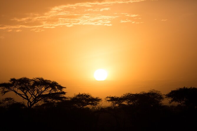 Private Group Serengeti Safari, Crater & Tarangire National Park - Why the private format can be worth the price