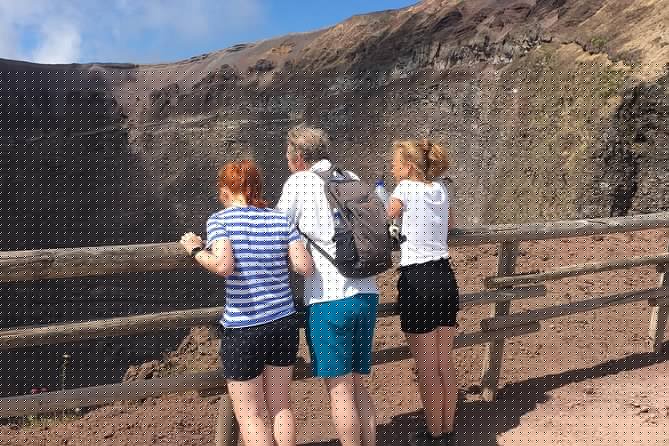Private Half-Day Sightseeing Tour of Vesuvius National Park - The uphill walk to the crater takes real effort