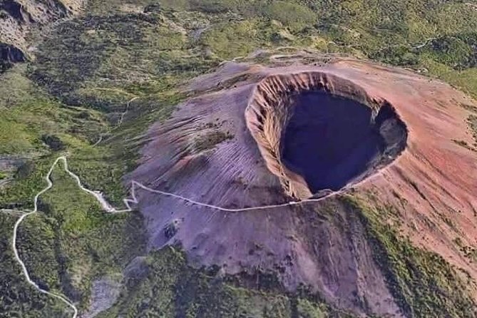 Private Half-Day Tour of Mt. Vesuvius - Timing for cruise passengers and short visits