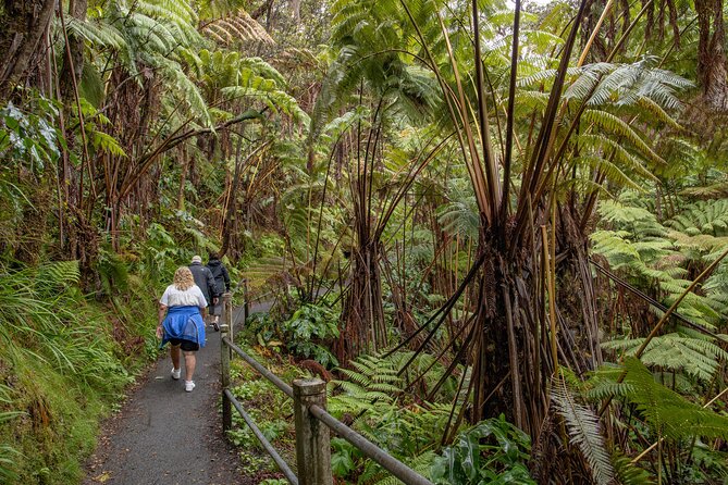 Private - Hawaii Volcanoes NP and Black Sand Beaches Tour - Picnic lunch, dinner, and the practical value of included food