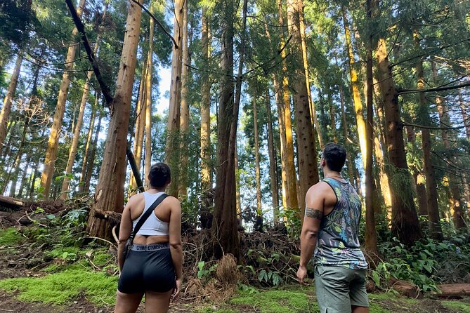Private Hike - Discover São Miguel’s Craters, Lakes & Waterfalls - A guide who helps beyond the scheduled day