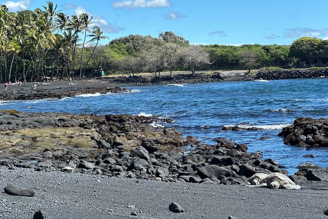 Private Hilo Shore Excursion to Volcano Waterfall and Black Sand - Kaʻū Coffee adds a taste of the island’s south