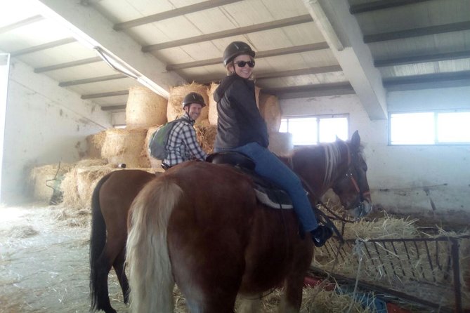 Private Horseback Riding Tour on Etna Area + Traditional Lunch - How much value do you get for $349.63?