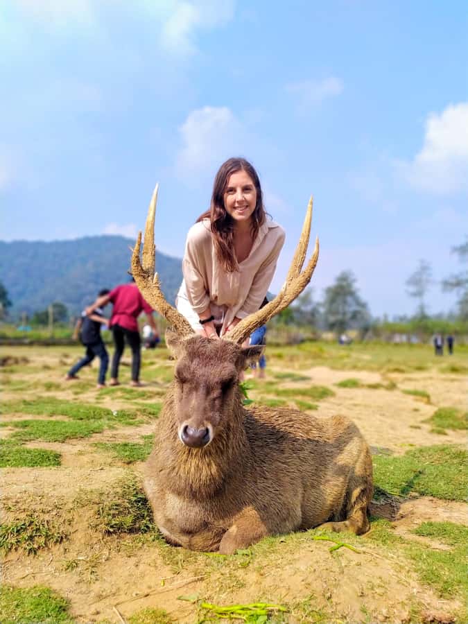Private: Kawah Putih,Volcano,HotSpring,Mud Bathing,Lake Tour - Deer, strawberries, and the more playful stops
