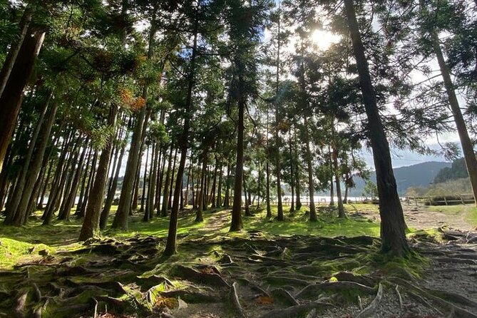 Private Lagoon of Fire and Furnas Tour - A five-hour introduction to São Miguel’s volcanic heart