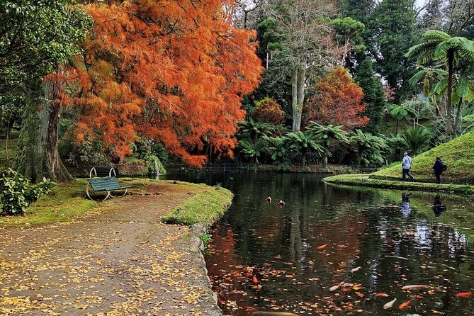 Private Lagoon of Fire and Furnas Tour - Why the private guide matters
