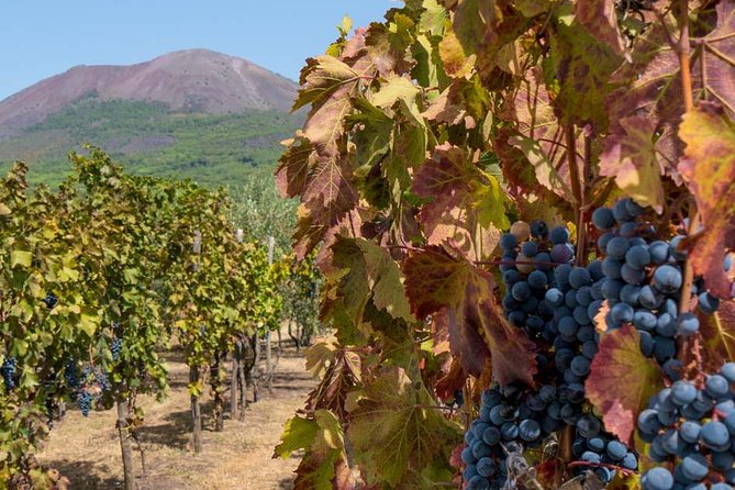 Private Mt Vesuvius and Pompeii with Lunch and Wine Farm Experience - Key things to know before booking