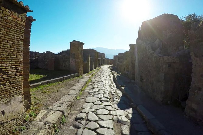 Private Mt Vesuvius and Pompeii with Lunch and Wine Farm Experience - The minivan, driver, and private format