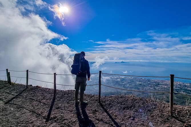 Private Pompeii, Herculaneum & Vesuvius Adventure: Wine & Lunch - Five useful facts before you book