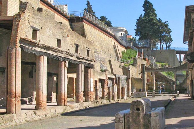 Private Pompeii, Herculaneum & Vesuvius Adventure: Wine & Lunch - Cantina Del Vesuvio: lunch, vineyards, and five wines