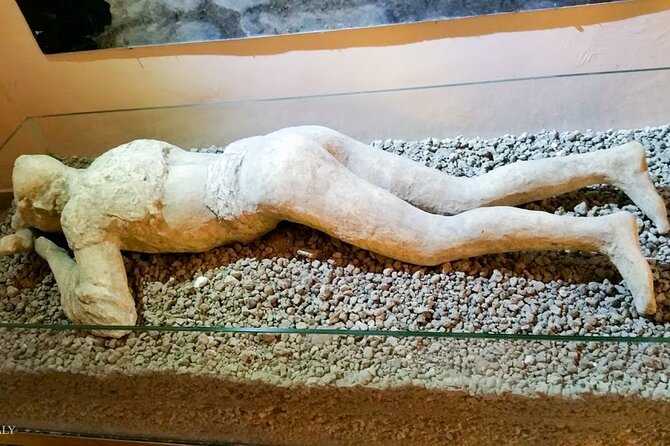 Private Pompeii Tour with Archaeologist & Winery on Mt Vesuvius - The Basilica, Temple of Apollo, and Forum