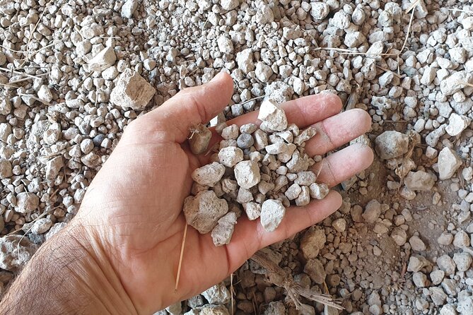 Private Pompeii Tour with Archaeologist & Winery on Mt Vesuvius - Theater life at Teatro Grande