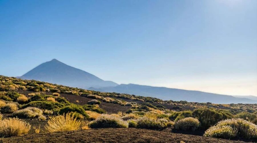Private Teide & North Tenerife: Volcano, Valleys & Old Towns - A private route across Tenerife’s changing scenery