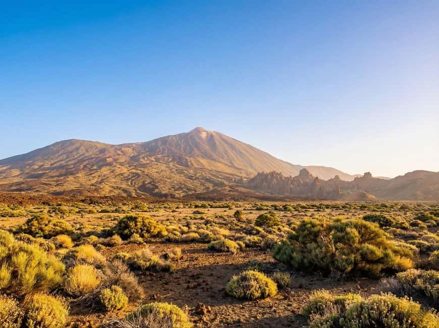 Private Teide & North Tenerife: Volcano, Valleys & Old Towns - Food choices: lunch, wine, and local flavor